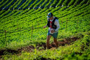 BIB: 
                            <button type="button" onclick="openModal(19160529)" class="btn btn-primary btn-sm float-right btn-popup" data-toggle="modal" data-target=".modal-high-quality">
                        <i class="fas fa-shopping-cart"></i> Add to Cart
                    </button>
                                            <button type="button" onclick="isThisMe(19160529, true)" class="btn btn-success btn-sm float-right btn-popup btn-isme hidden" data-toggle="tooltip" data-placement="bottom" title="นี่คือรูปของคุณใช่ไหม คลิกที่นี่เพื่อเอาเข้าอัลบั้ม">
                        <i class="fas fa-plus"></i> Add to album
                    </button>
                    <button type="button" onclick="isThisMe(19160529, false)" class="btn btn-warning btn-sm float-right btn-popup btn-isnotme hidden">
                        <i class="fas fa-ban"></i> Remove from album
                    </button>